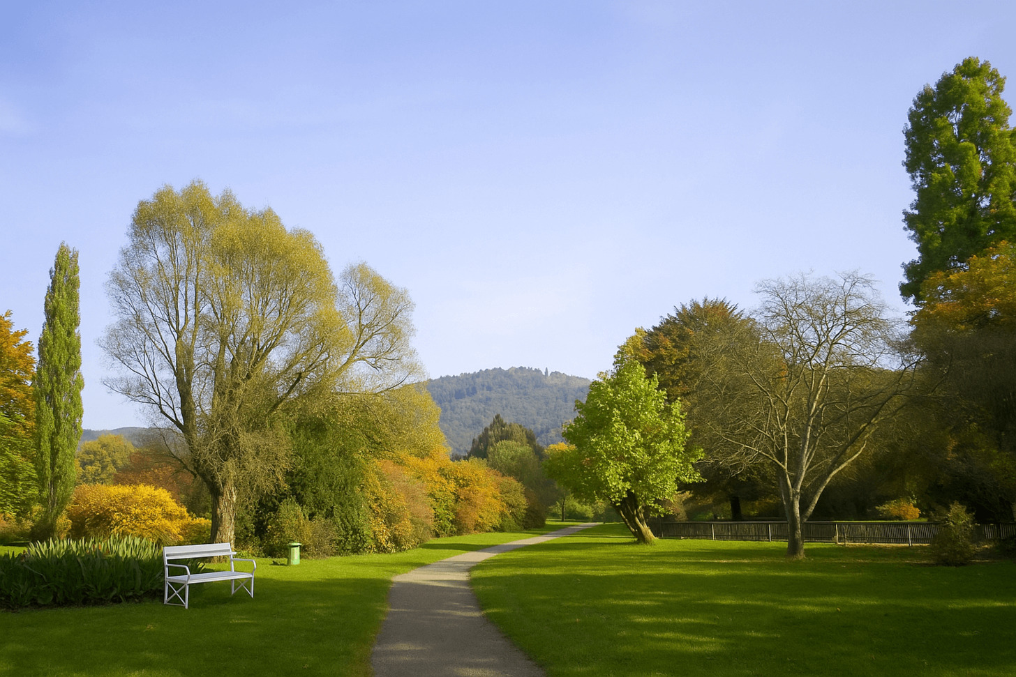 Wissenschaft trifft Natur: Der Alte Botanische Garten der Uni Marburg im Porträt